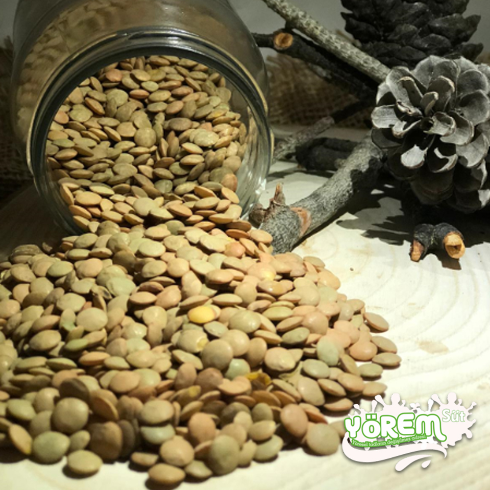 Yeşil Mercimek